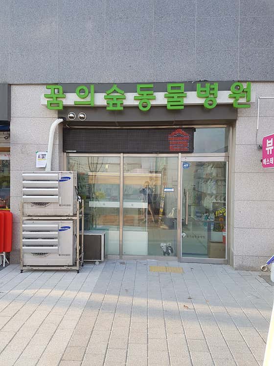 꿈의숲동물병원 대표이미지