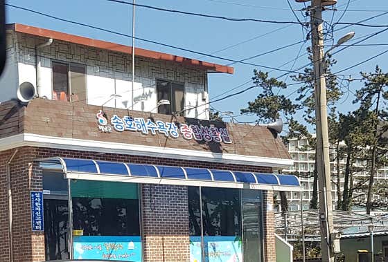 땅끝송호해수욕장 · 네이버 지도·플레이스 2
