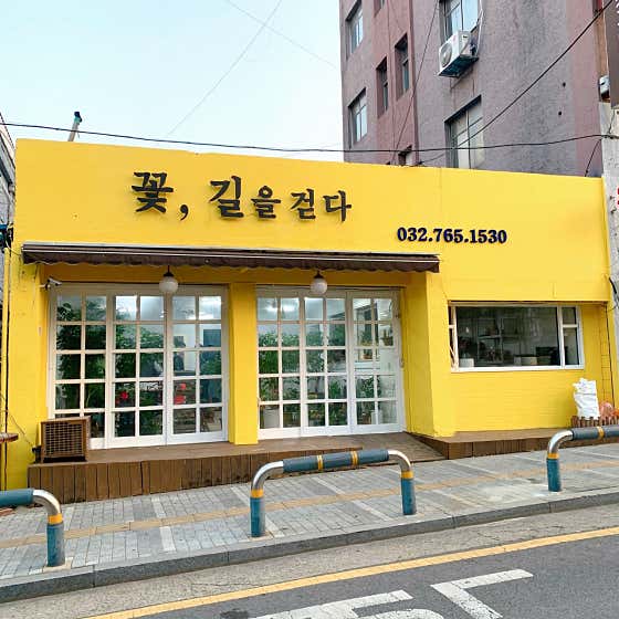 네이버 플레이스 꽃 길을 걷다 : 네이버