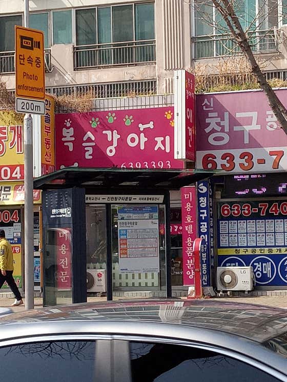 복슬강아지 · 네이버 지도·플레이스 3