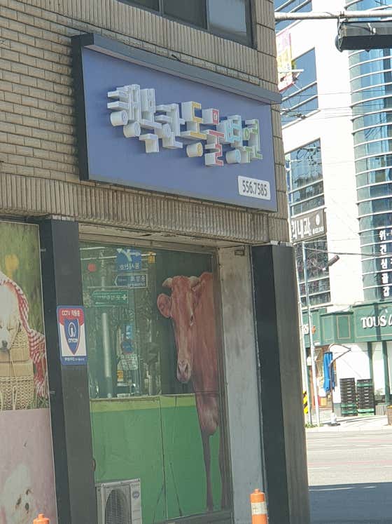 행복한동물병원(문경)