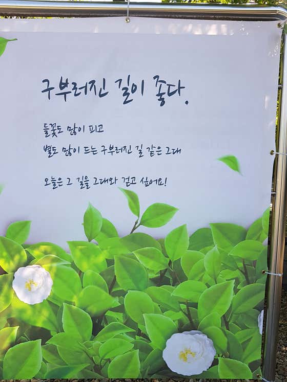 네이버 플레이스 푸른나무진로적성연구소 : 네이버