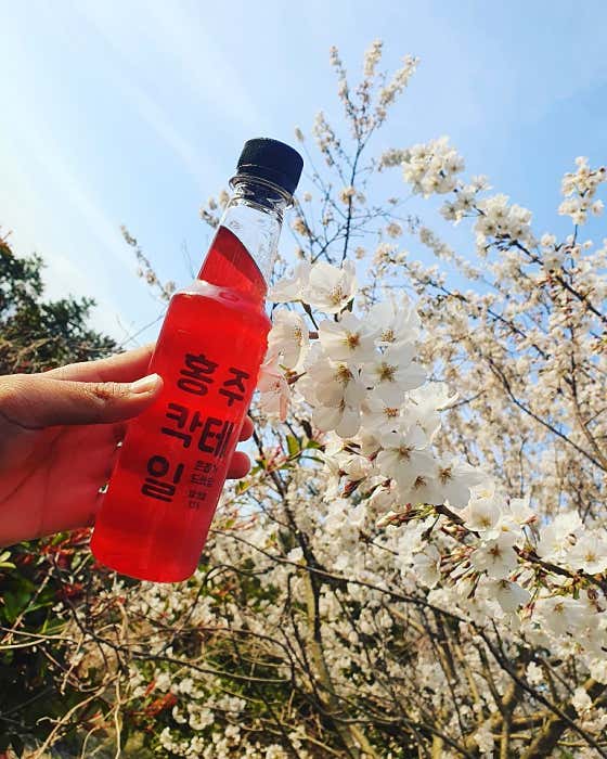 진도 홍주칵테일 · 네이버 지도·플레이스 8