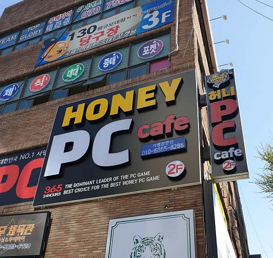 허니PCcafe
