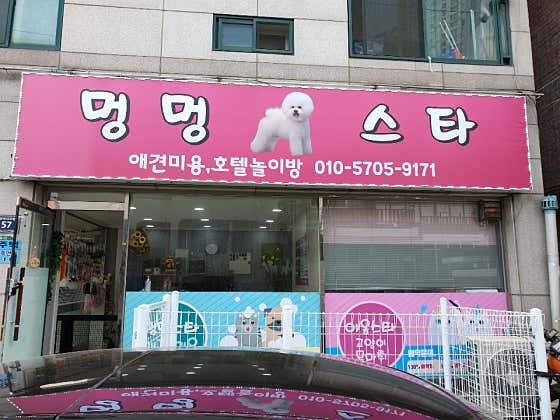 멍멍스타