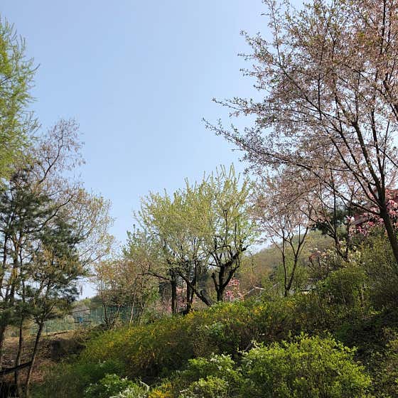 아워포레스트 · 네이버 지도·플레이스 9