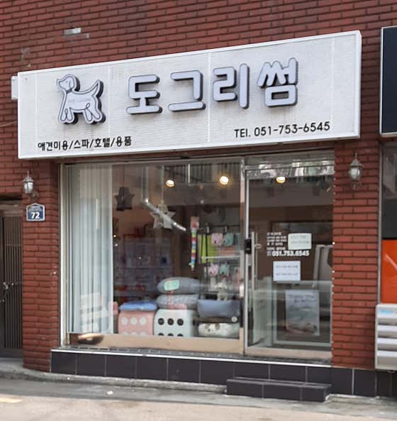 도그리썸애견미용실