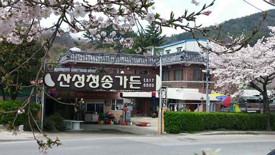 산성청송가든