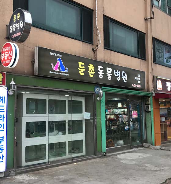 둔촌동물병원 대표이미지