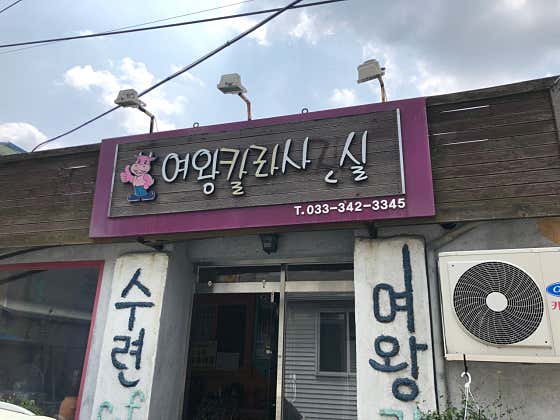 여왕칼라사진실