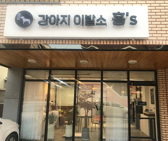 강아지이발소홍s 대표이미지