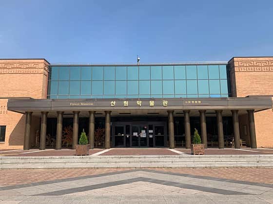 강원도산림박물관 · 네이버 지도·플레이스 3