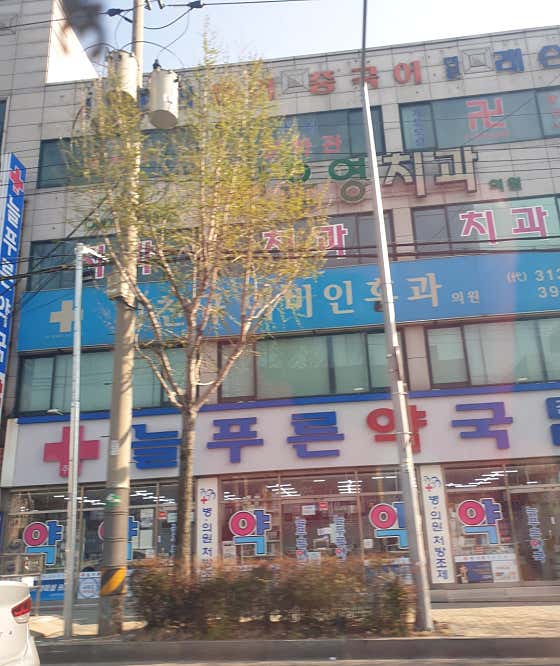 주례늘푸른약국 · 네이버 지도·플레이스 2