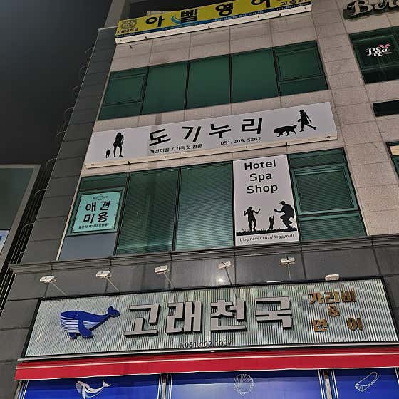 도기누리