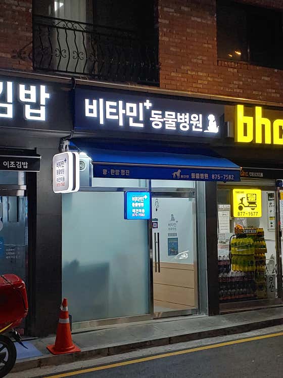 비타민동물병원 대표이미지