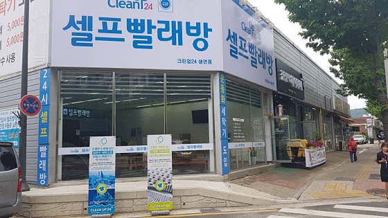 크린업24 생연점