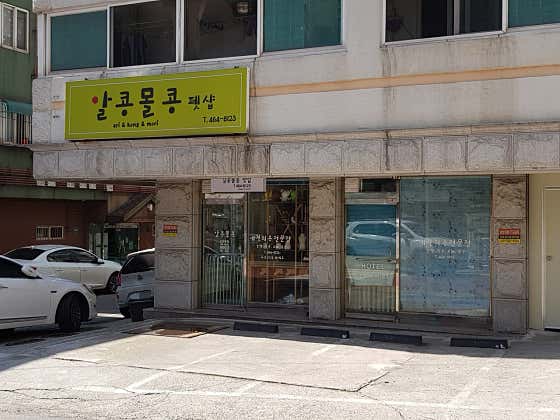 알콩몰콩펫샵