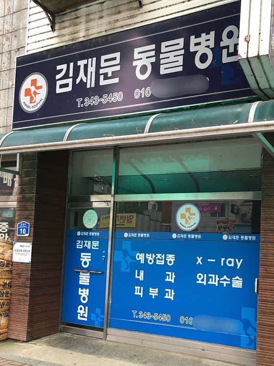 김재문동물병원