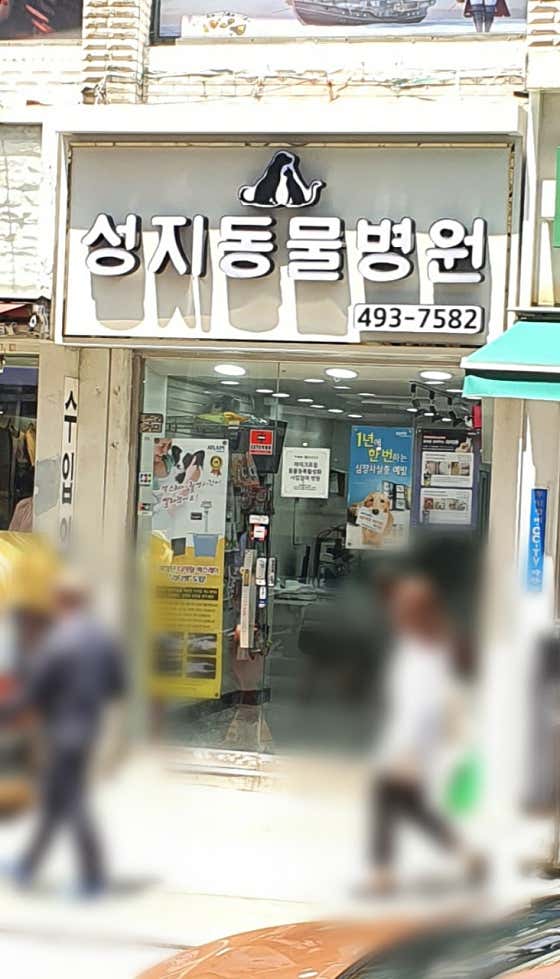 성지동물병원 대표이미지