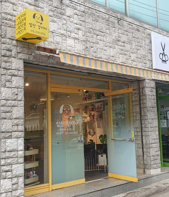 앞산강아지 · 네이버 지도·플레이스 3