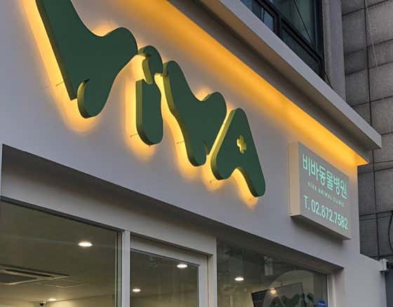 비바동물병원 대표이미지