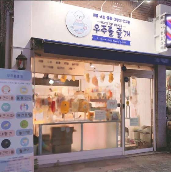 우주를줄개 애견미용실 · 네이버 지도·플레이스 1