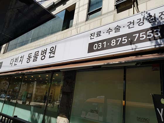 다빈치동물병원