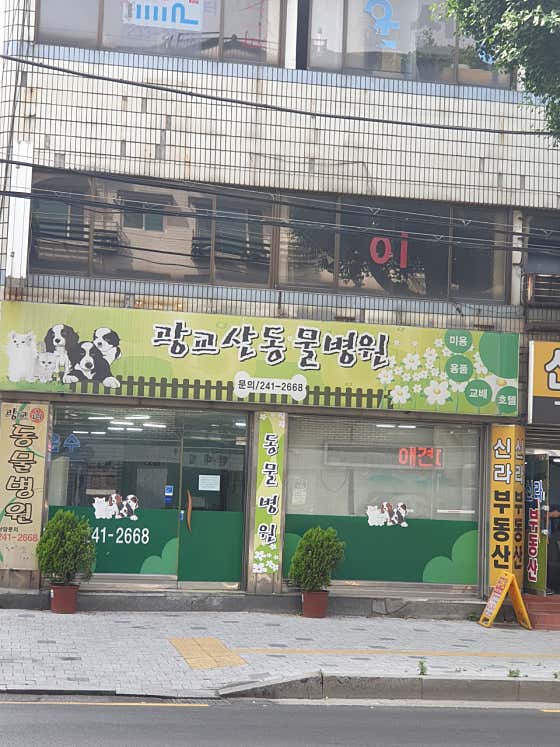 광교산동물병원