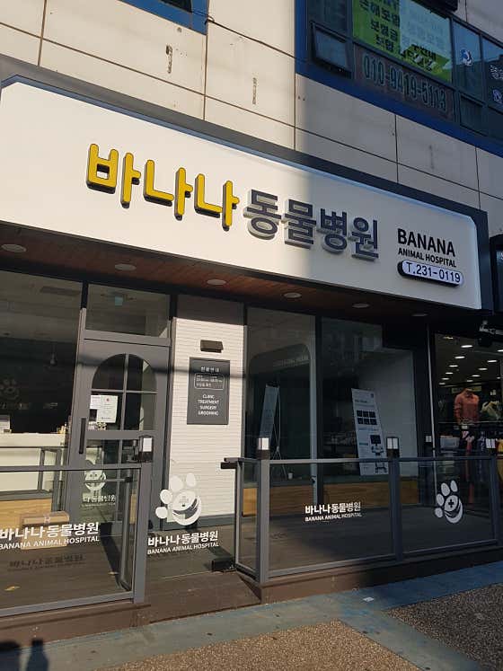 바나나동물병원 · 네이버 지도·플레이스 8