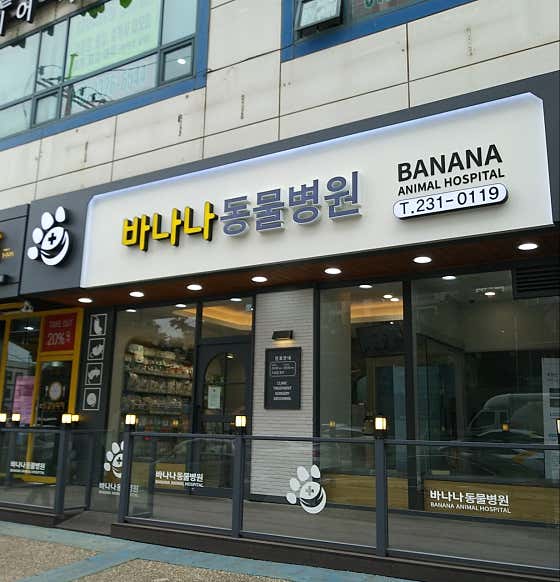 바나나동물병원 · 네이버 지도·플레이스 9