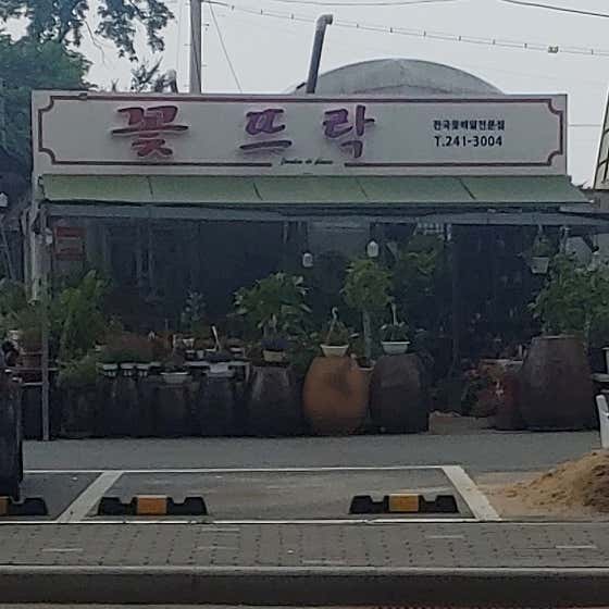 네이버 플레이스 꽃뜨락 : 네이버