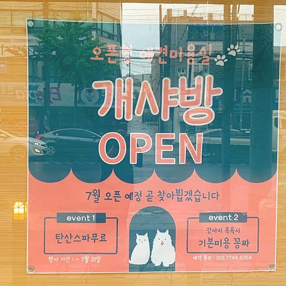 개샤방 · 네이버 지도·플레이스 6