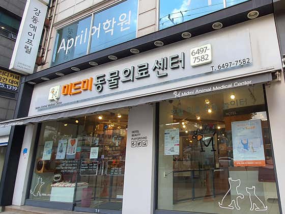 미드미동물의료센터 대표이미지