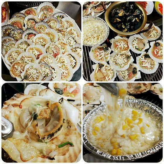 오팔공