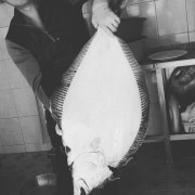 자연산광어 1kg (싯가) 메뉴 사진(네이버)