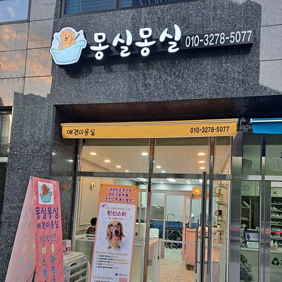 몽실몽실 애견미용실 대표이미지