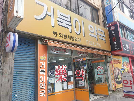 거북이약국