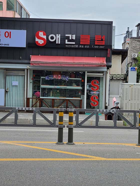 애견클럽 · 네이버 지도·플레이스 2
