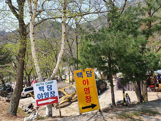 백담계곡오토캠핑장 대표이미지