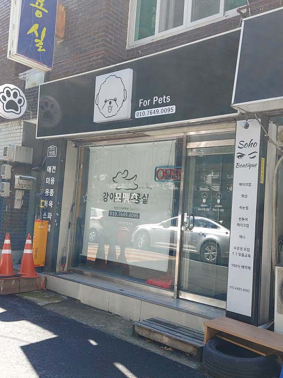 포펫츠 · 네이버 지도·플레이스 2