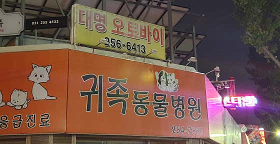귀족동물병원