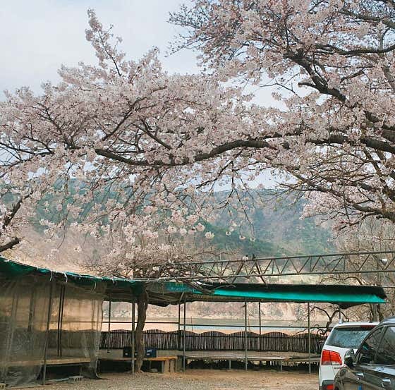 신세계집