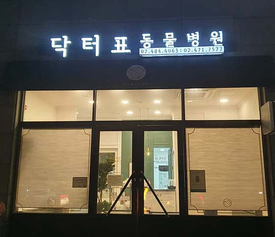 닥터표동물병원 · 네이버 지도·플레이스 7