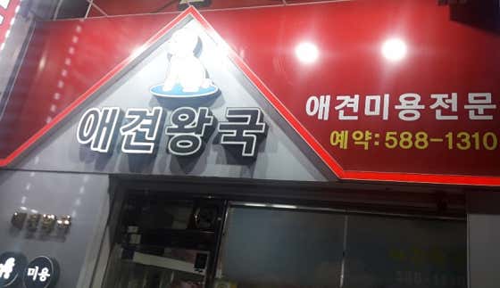 애견왕국 · 네이버 지도·플레이스 2