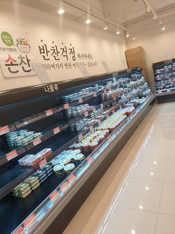 손찬 율하점