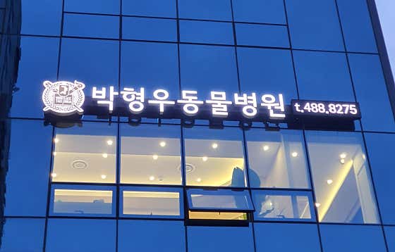 박형우동물병원 · 네이버 지도·플레이스 7