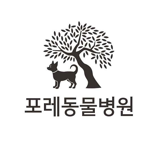 포레동물병원 대표이미지