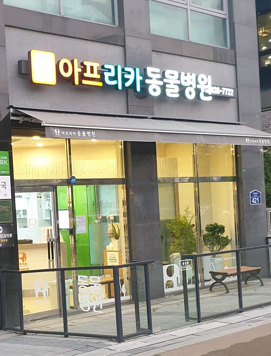 아프리카동물병원 · 네이버 지도·플레이스 3