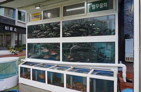 생선횟집 · 네이버 지도·플레이스 2