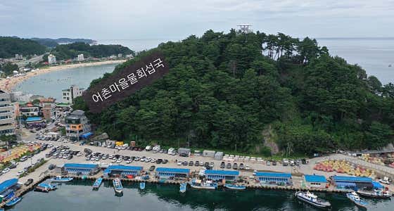 어촌마을물회섭국 · 네이버 지도·플레이스 2